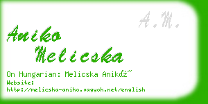 aniko melicska business card